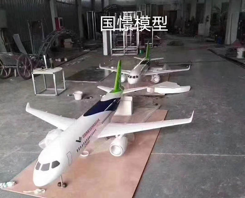 永胜县飞机模型
